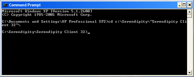 XP client hang 1