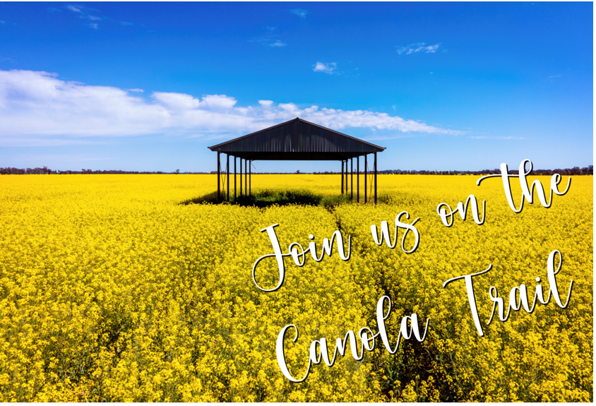 Canola output