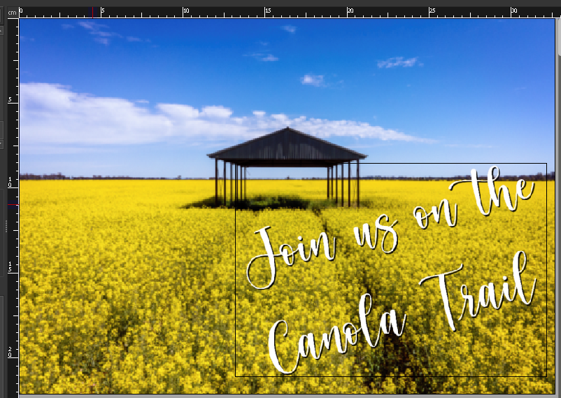 Studio tpy layout 2