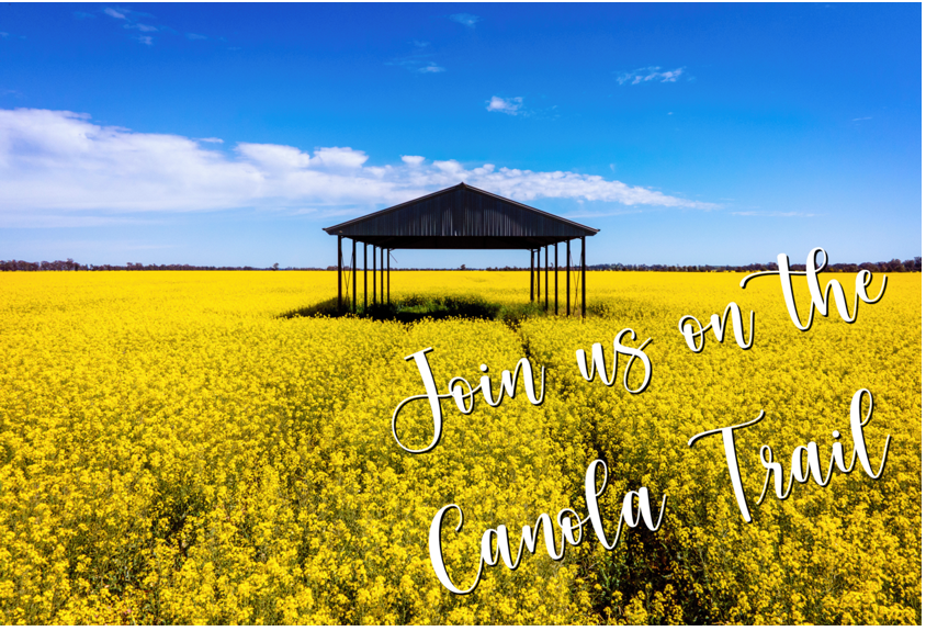 canola_output